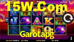 Premium Interface Garotapg